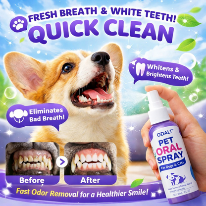 Pet Dental Spray – Thoroughly removes plaque from dogs' teeth, no brushing required, for easy dental care