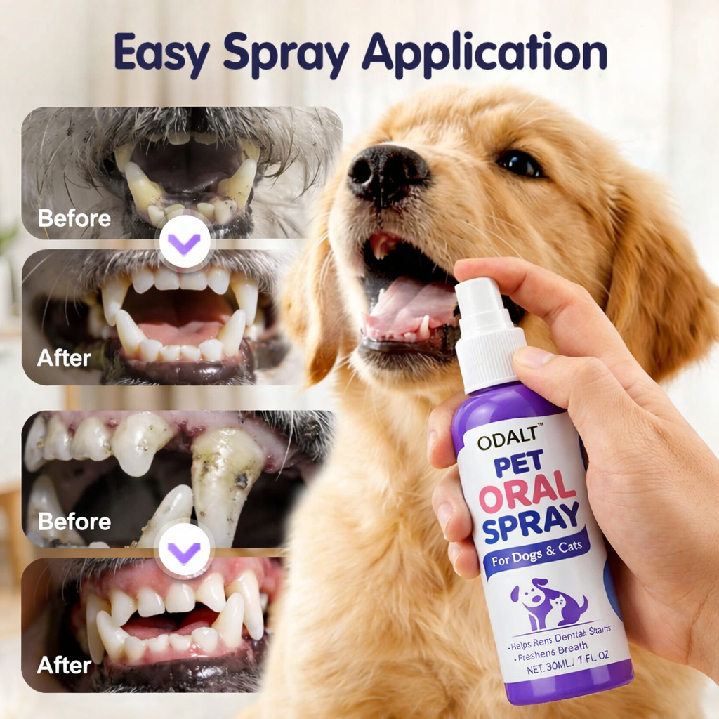 Pet Dental Spray – Thoroughly removes plaque from dogs' teeth, no brushing required, for easy dental care