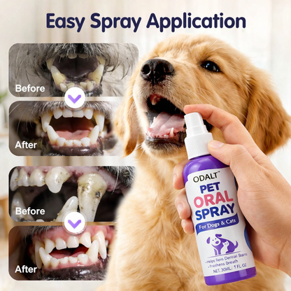 Pet Dental Spray – Thoroughly removes plaque from dogs' teeth, no brushing required, for easy dental care