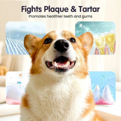 Pet Dental Spray – Thoroughly removes plaque from dogs' teeth, no brushing required, for easy dental care